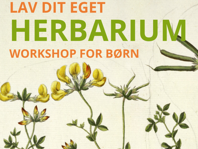 Lav Dit Eget Herbarium